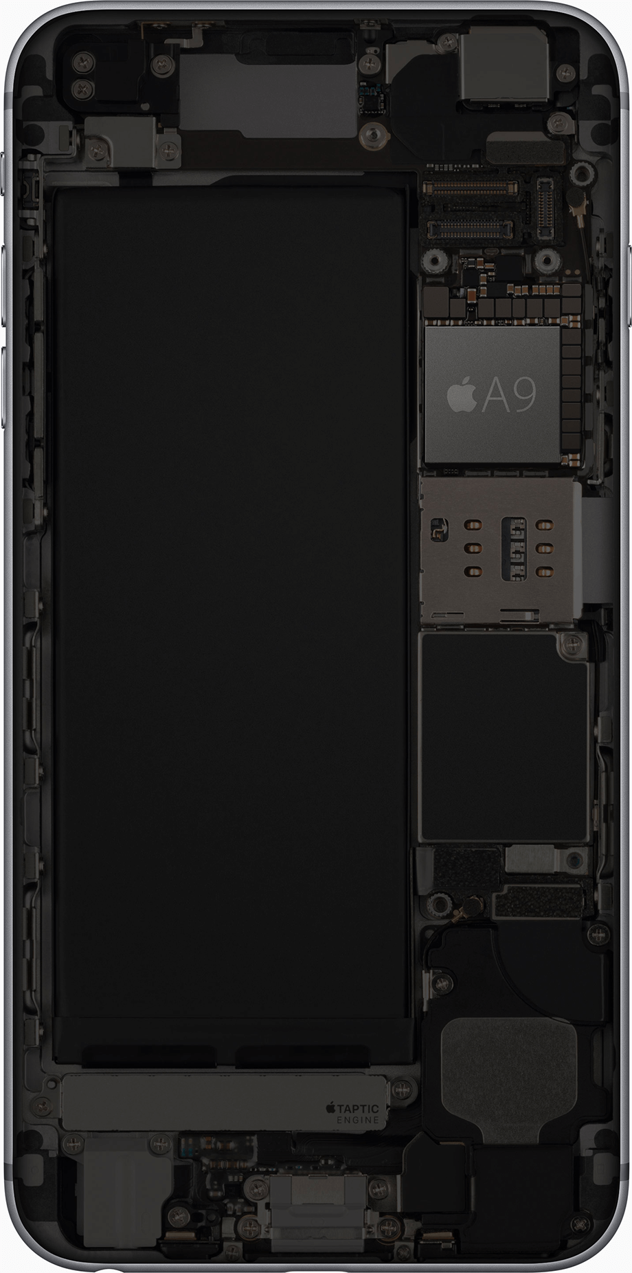 Photo Credit : Apple.com Photo Credit : Apple.com